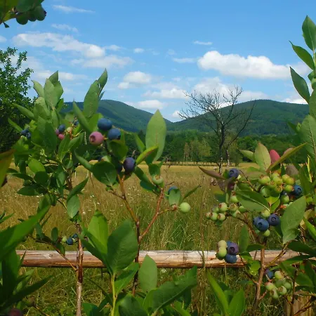 Dom Geologa Marianowka