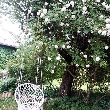 Дом отдыха Dom Geologa *