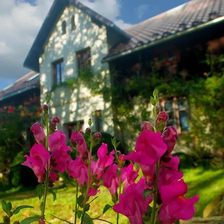 Dom Geologa Marianowka