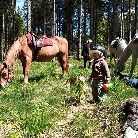 Dom Geologa Marianowka
