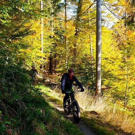 Дом отдыха Dom Geologa *