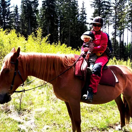 Дом отдыха Dom Geologa *