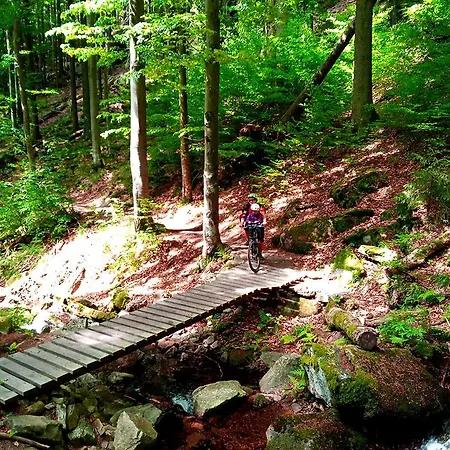 Дом отдыха Dom Geologa *