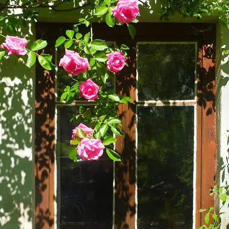 Дом отдыха Dom Geologa *