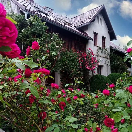 Dom Geologa Marianowka