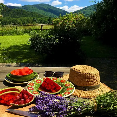 Dom Geologa Tatil Evi Marianowka