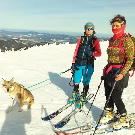 Dom Geologa Дом отдыха *