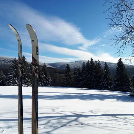 Holiday home Dom Geologa Marianowka