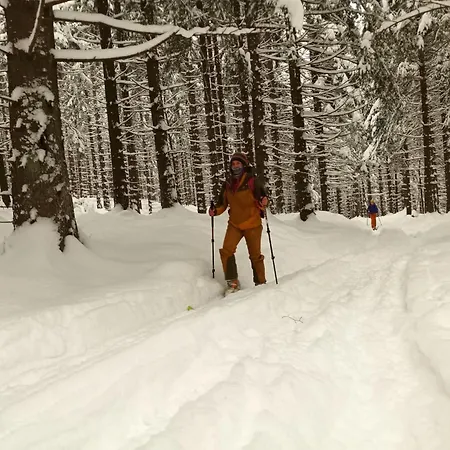 Dom Geologa Holiday home