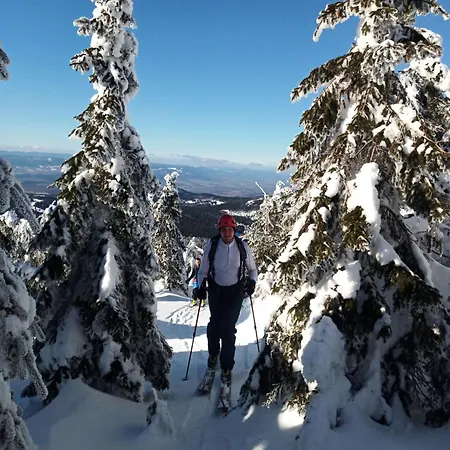 Dom Geologa Дом отдыха Marianowka