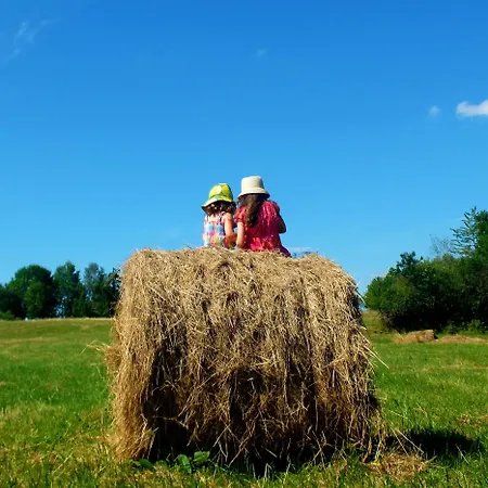 Dom Geologa * Marianowka