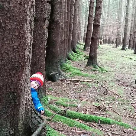 Dom Geologa Marianowka