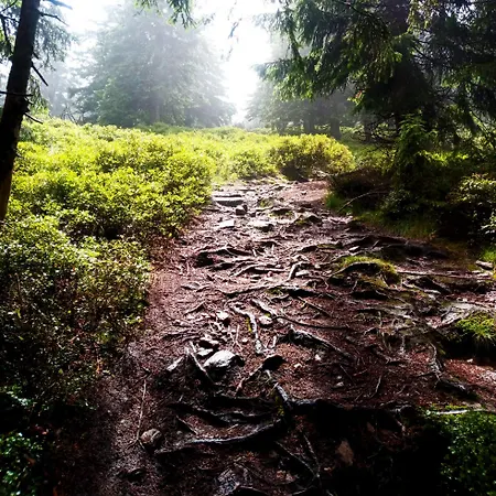 Dom Geologa Дом отдыха Marianowka