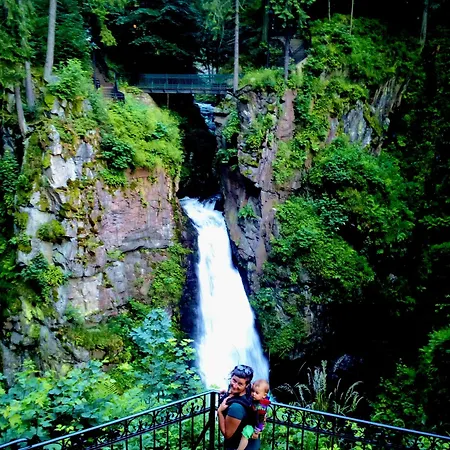 Дом отдыха Dom Geologa Marianowka