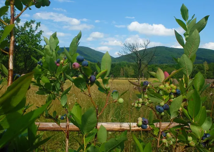 Dom Geologa Marianowka