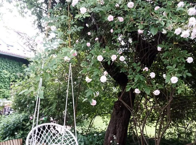 Holiday home Dom Geologa *