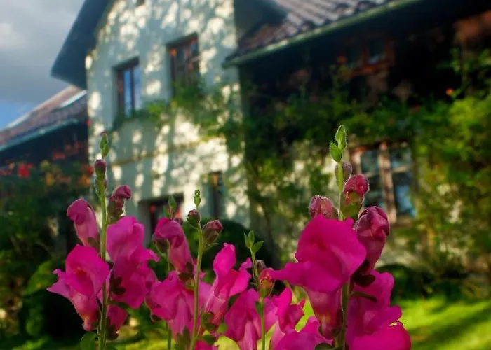 Dom Geologa Marianowka