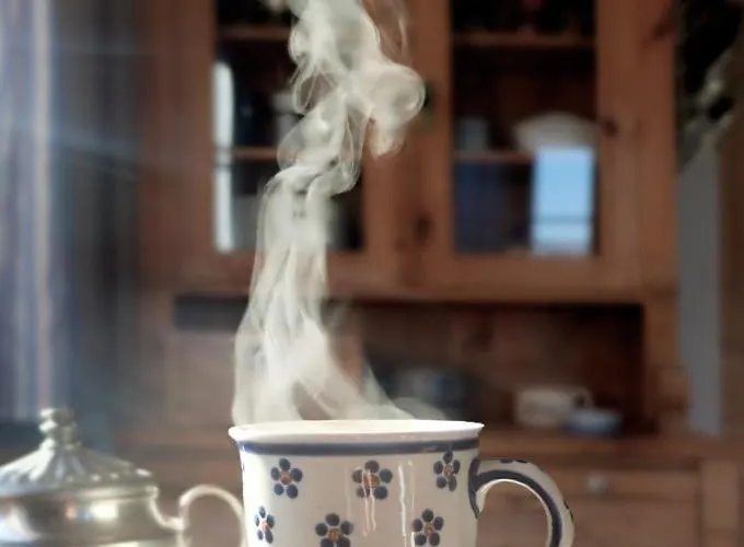 펜션 Dom Geologa Marianowka