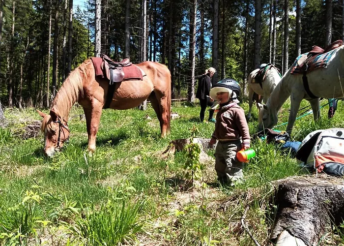 Dom Geologa Marianowka