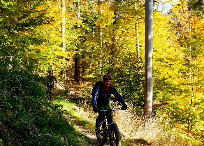 펜션 Dom Geologa *