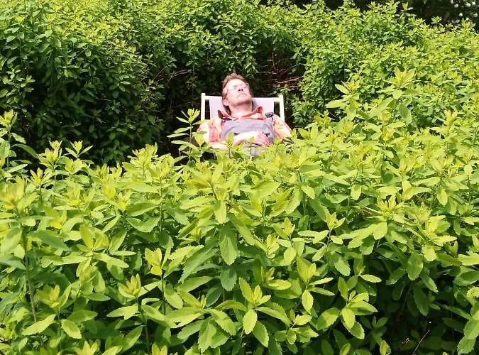 Dom Geologa 펜션 Marianowka