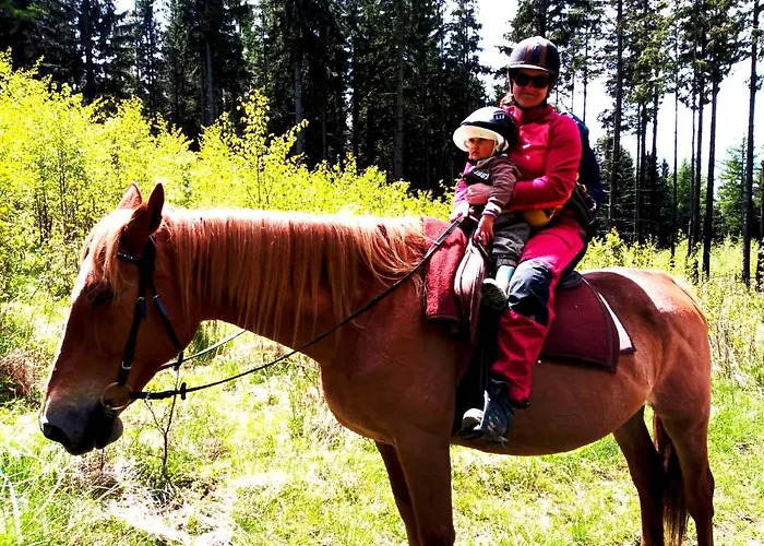 Holiday home Dom Geologa *