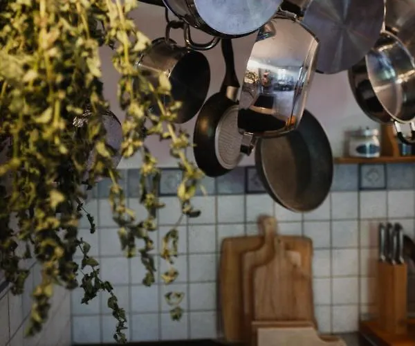 Dom Geologa 펜션 *