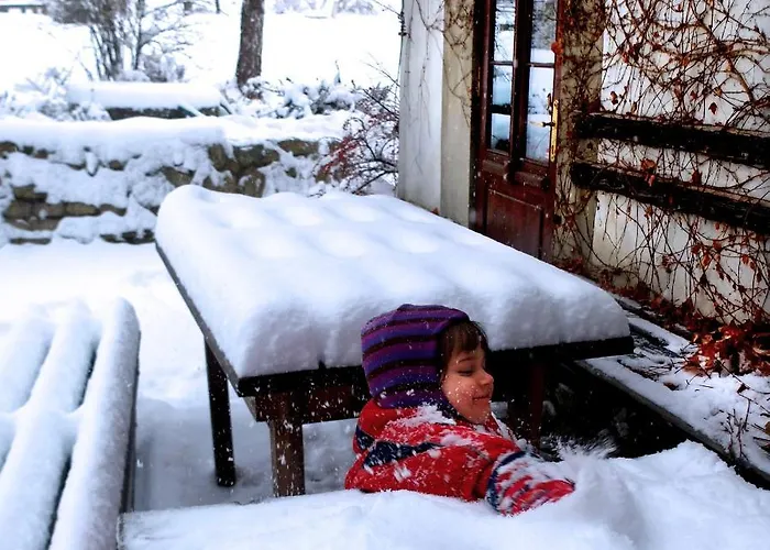 Holiday home Dom Geologa