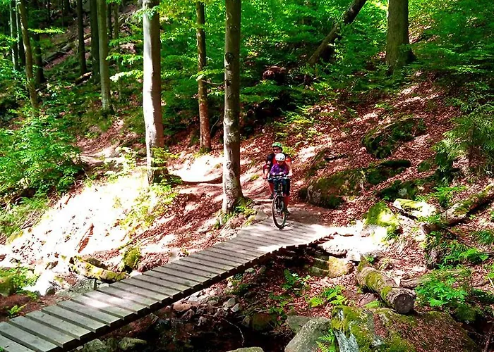 펜션 Dom Geologa *