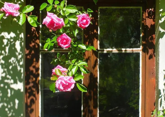 펜션 Dom Geologa *