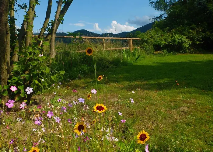 Holiday home Dom Geologa