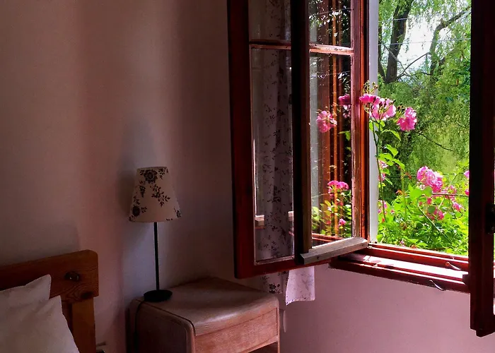 Dom Geologa Marianowka