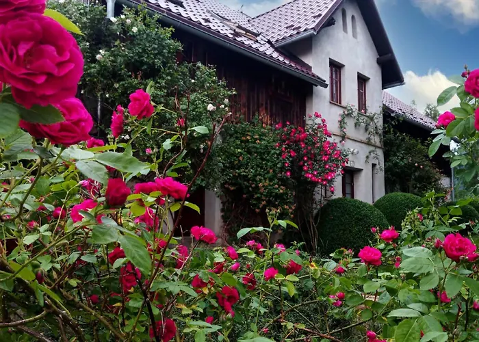 Dom Geologa Marianowka