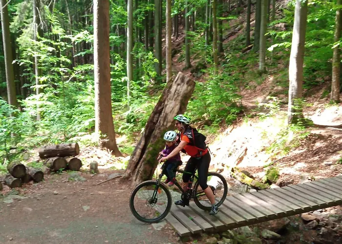 Dom Geologa 펜션 *