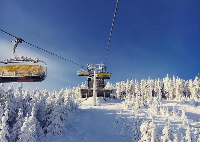 Dom Geologa Marianowka