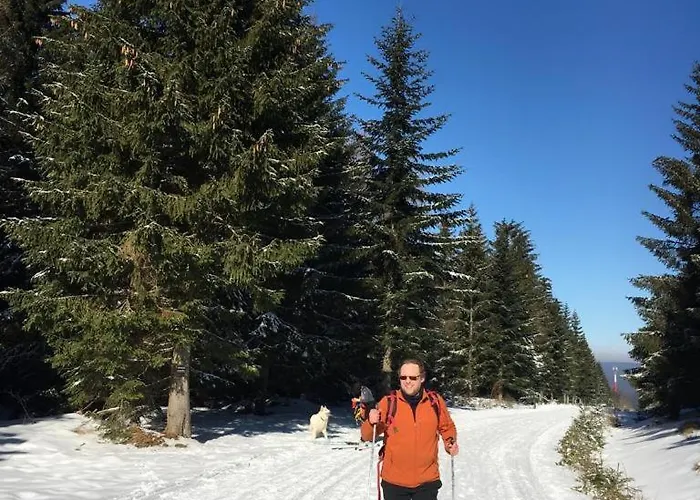 Dom Geologa * Marianowka