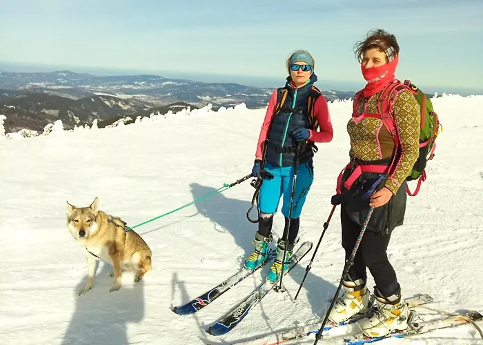 Dom Geologa 펜션 *