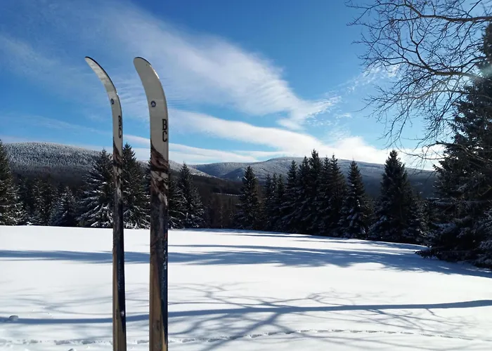 펜션 Dom Geologa Marianowka