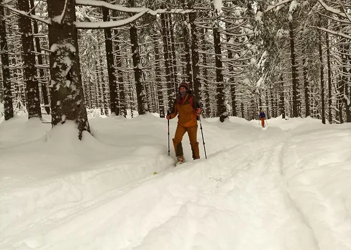 Dom Geologa Holiday home