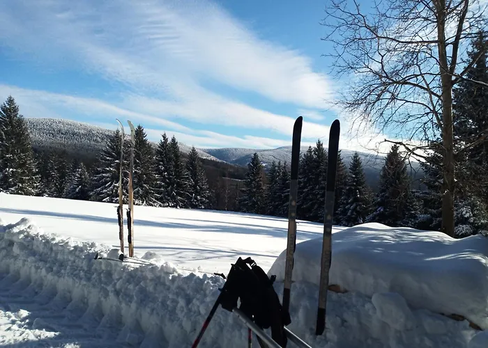 Dom Geologa Marianowka