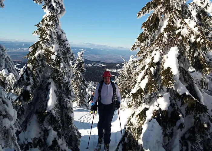 Dom Geologa 펜션 Marianowka