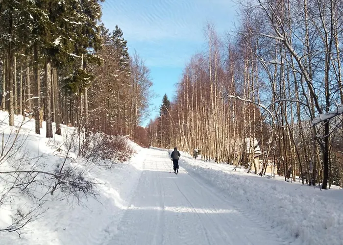 Dom Geologa Marianowka