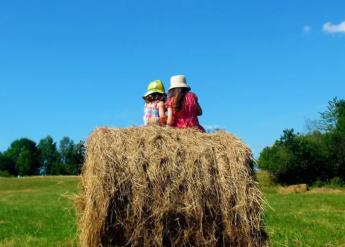 Dom Geologa * Marianowka