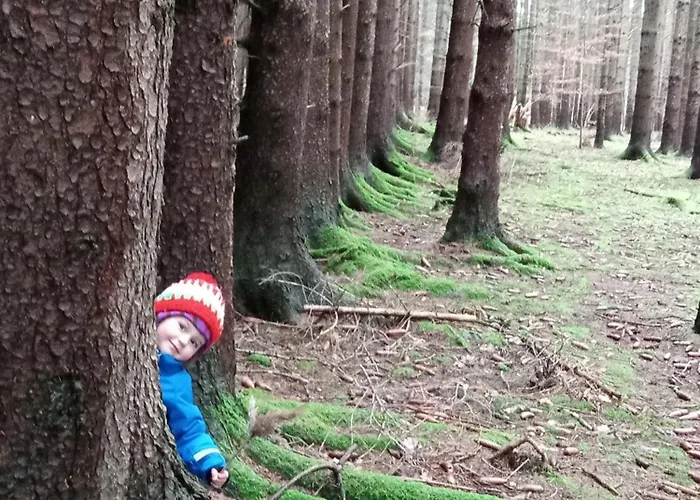 Dom Geologa Marianowka