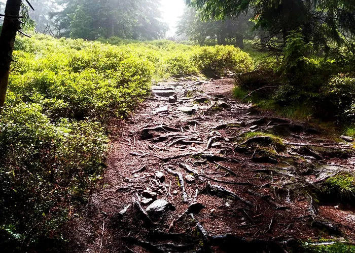 Dom Geologa 펜션 Marianowka